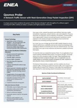 Qosmos Probe: A Network Traffic Sensor with Next Generation DPI