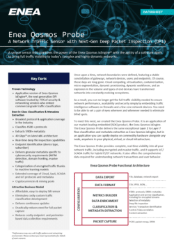 Enea Qosmos Probe: A Network Traffic Sensor with Next-Gen Deep Packet Inspection (DPI)