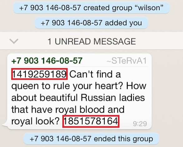 Romance spam message on WhatsApp asking receiver to contact a phone number