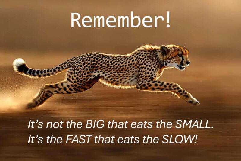 It's not the BIG that eats the small. It's the fast that eats the slow.