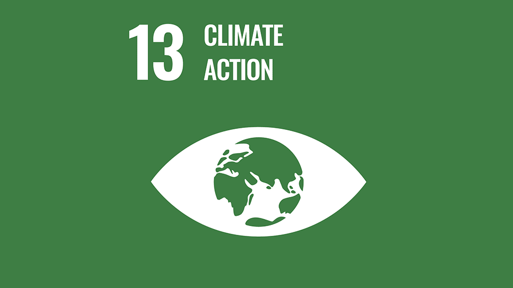 Goal 13 Climate Action
