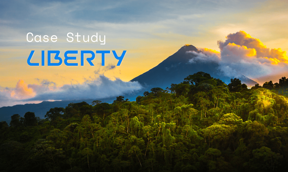 Liberty Case Study