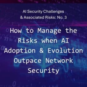 Risks of Rapid AI Adoption and Evolution